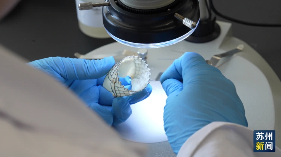 旺财28医疗入选苏州市2025年度重大科技效果转化项目立项项目