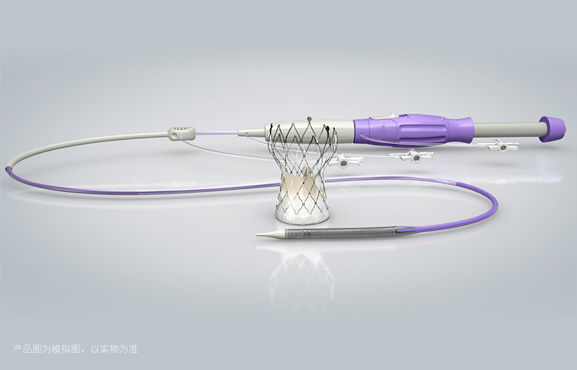 TaurusElite? 经导管自动脉瓣系统
